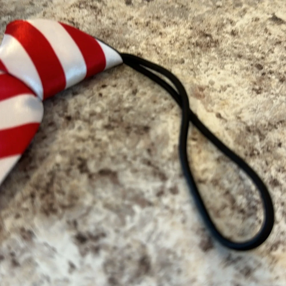 NWOT 10 inch unisex ties set of 4. Attached elastic cord goes under the colla